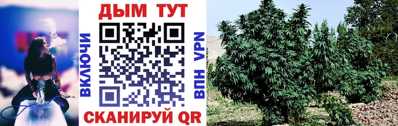 Цена Борзя COCAIN  LSD-25  Каннабис  Амфетамин  Мефедрон  A PVP 