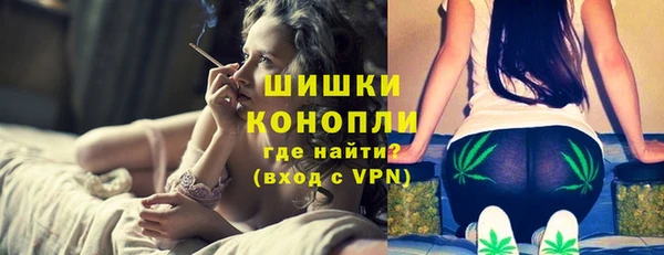 индика Сафоново