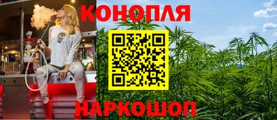 гашик Берёзовский