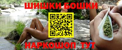 гашик Берёзовский