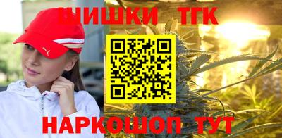 гашик Берёзовский