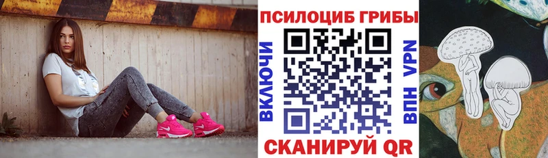 как найти наркотики  мега как войти  Псилоцибиновые грибы Psilocybine cubensis  Борзя 