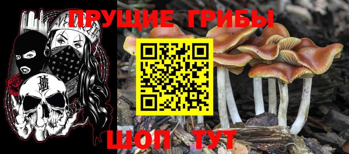 Галлюциногенные грибы Magic Shrooms  Борзя 