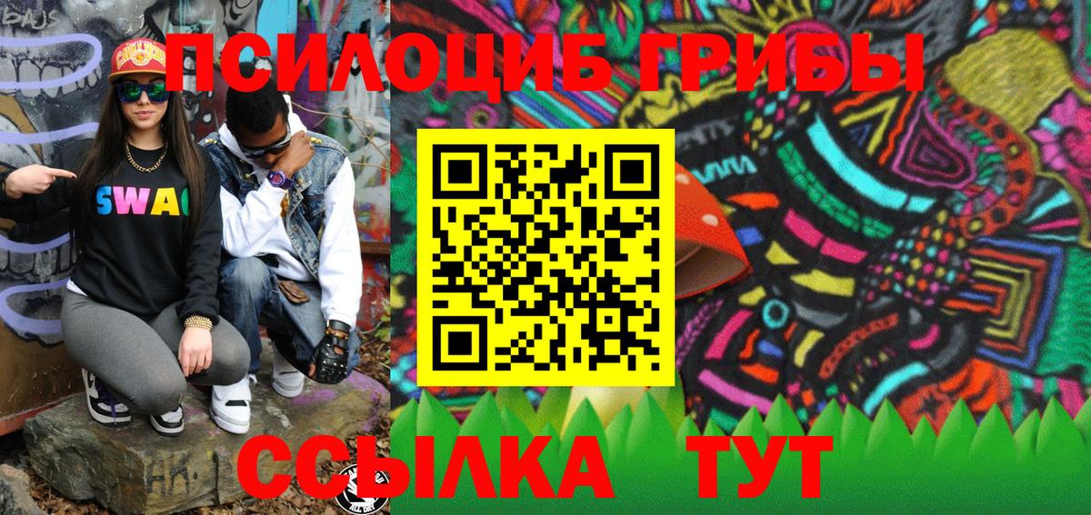 Псилоцибиновые грибы GOLDEN TEACHER Борзя