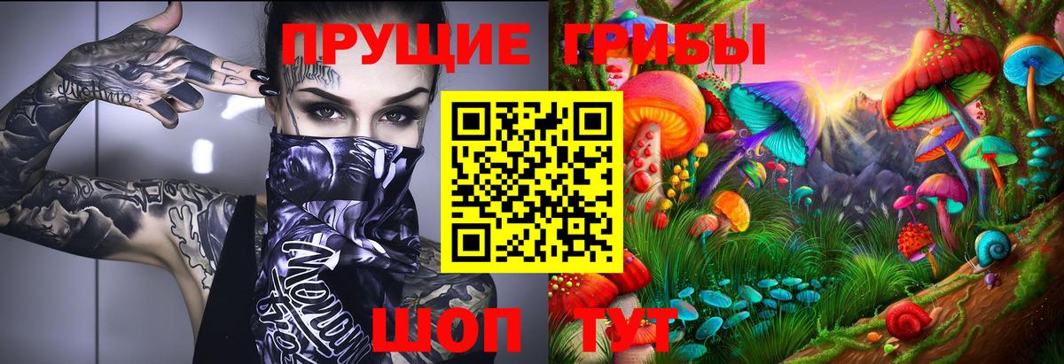 Борзя  купить наркотик  Вход с VPN  Псилоцибиновые грибы Psilocybe 